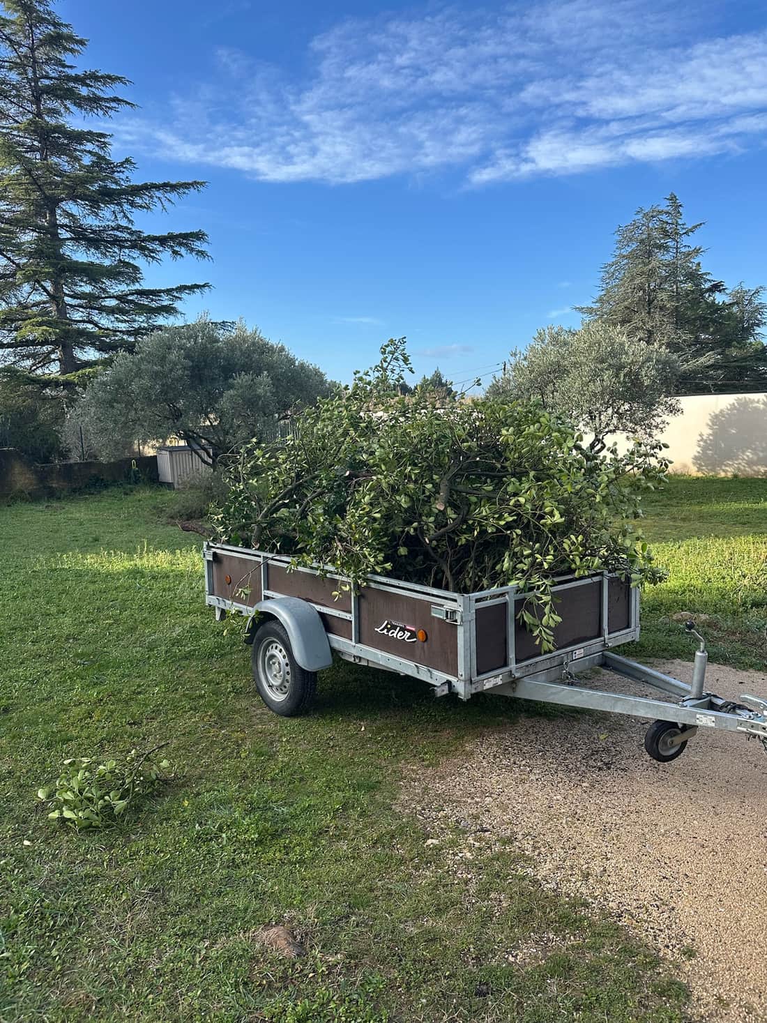 Brush clearing